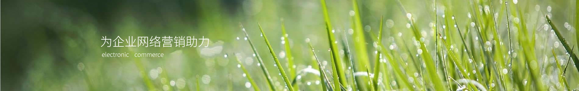 Ŭ]ӿƼ޹˾